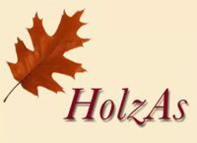 Bild: Kaminholz online kaufen bei Holzas