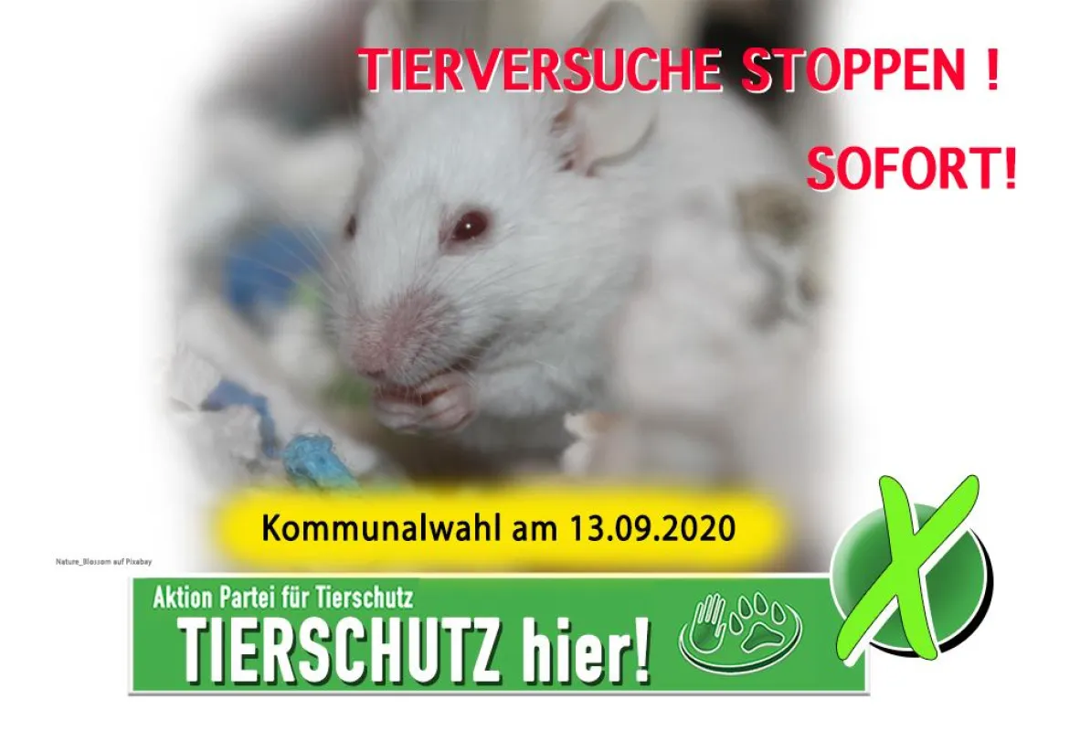 Tierversuchslabore schließen, alle!