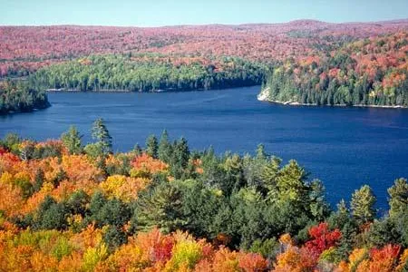 Bild: Ontario zum Anbeißen: Auf den Spuren des "Blue Mountains Apple Pie Trail"