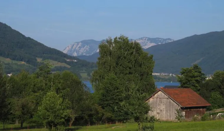 Bild: Wort im Bild - Die Sinne und den Blick für Details schärfen, visuell und literarisch