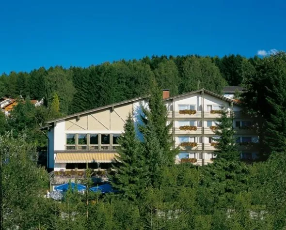 Bild: Hotel mit Alleinstellungsmerkmal in Bodenmais/Bay. Wald