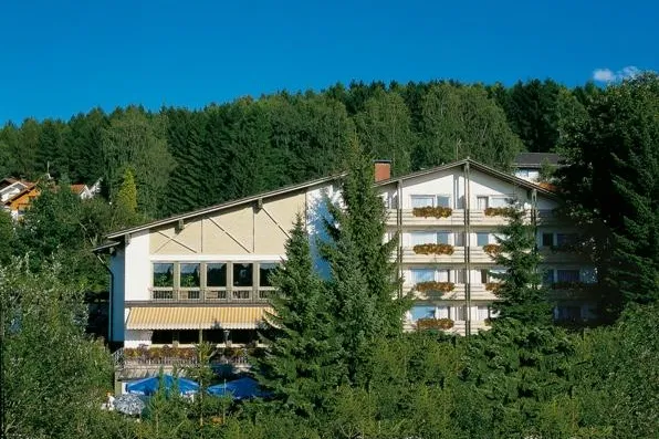 Bild: Hotel mit Alleinstellungsmerkmal in Bodenmais/Bay. Wald