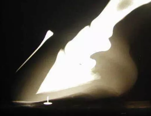 Bild: Hufrehe - Information und Hilfe für betroffene Pferdehalter