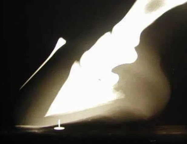 Hufrehe - Information und Hilfe für betroffene Pferdehalter Bild: Hufrehe - Information und Hilfe für betroffene Pferdehalter