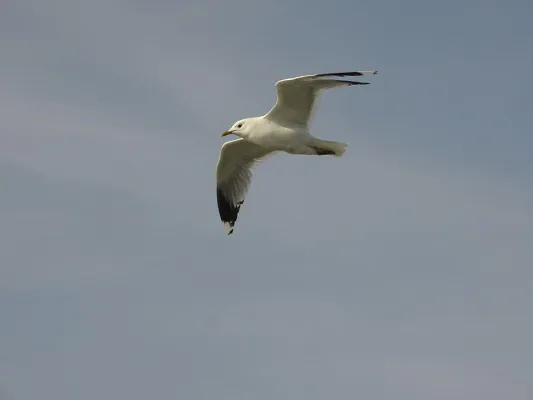 Bild: NEUER BLOG UND EBOOK-SHOP GLÜCKS-EBOOKS