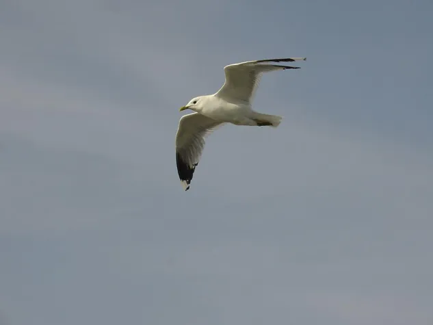 Bild: NEUER BLOG UND EBOOK-SHOP GLÜCKS-EBOOKS