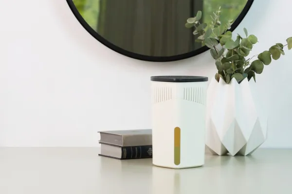 Raumentfeuchter: wirksame Unterstützung zur Schimmelprävention und für ein gesundes Raumklima Bild: Raumentfeuchter: wirksame Unterstützung zur Schimmelprävention und für ein gesundes Raumklima