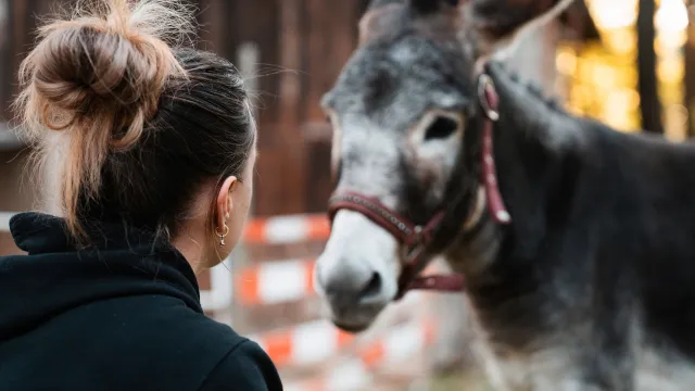Bild: Sanft statt grob: Die Philosophie der Schwarzenbacherin Isabella Stampf