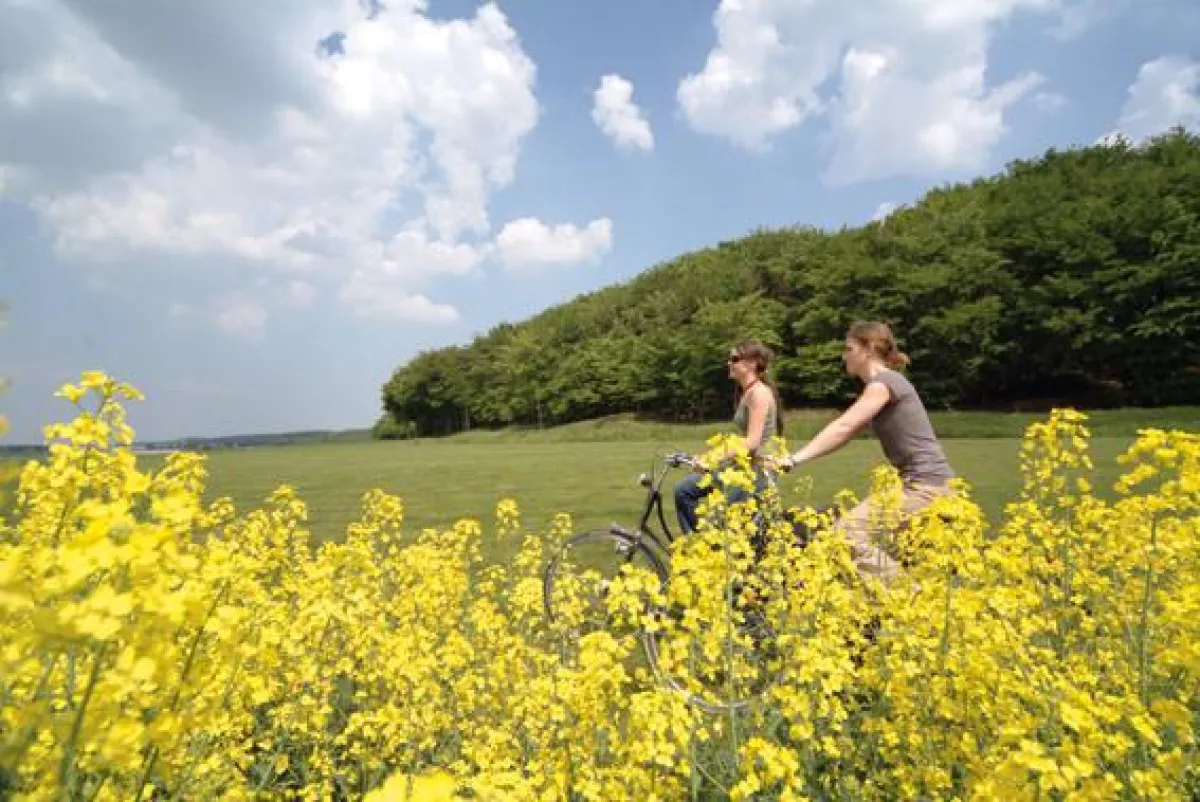 Am Niederrhein kann man ausgezeichnet Radfahren