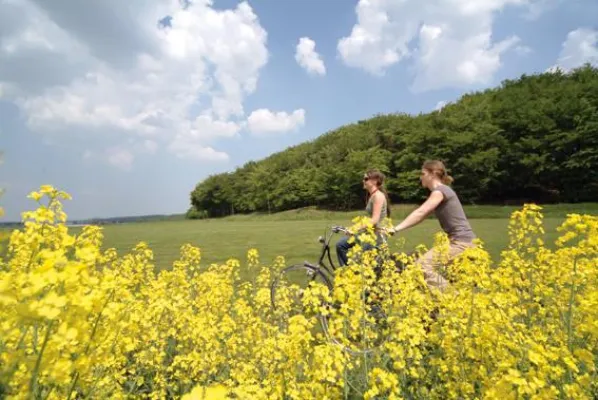 Bild: Marketingkampagne des Niederrhein Tourismus: