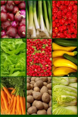 Bild: Alles über Gemüse: Professionelle iPhone-App für Gärtner und Feinschmecker kommt auf den Markt