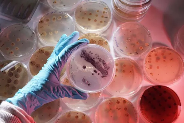 Mikroorganismen auf zwei Kontinenten studieren Bild: Mikroorganismen auf zwei Kontinenten studieren