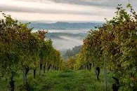 Bild: Die Provinz Cuneo im norditalienischen Piemont ist für sicheren Tourismus gewappnet