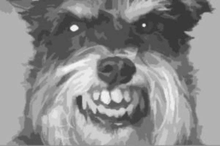 Bild: Konfliktherde frühzeitig eingrenzen