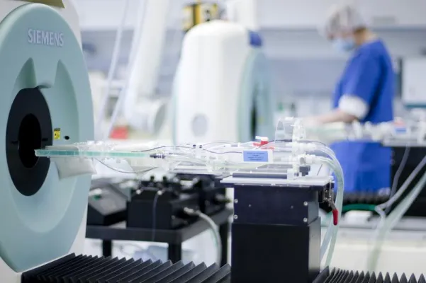 Bild: Markierte Zellen als Fenster in den Körper