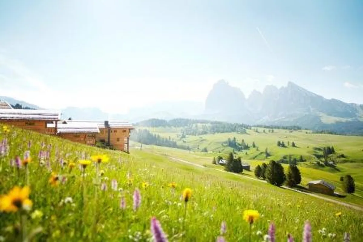 Blühende Wiesen rund um die ADLER Mountain Lodge