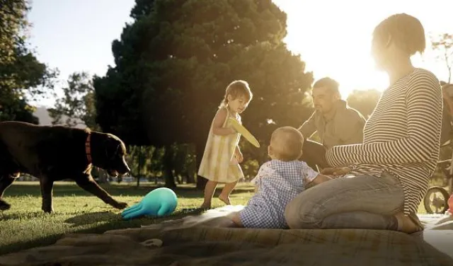 Bild: Von Mensch zu Mensch