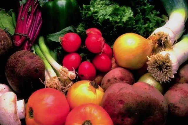 Bild: EFSA und Österreichische Gesellschaft für Ernährung beim FPQS