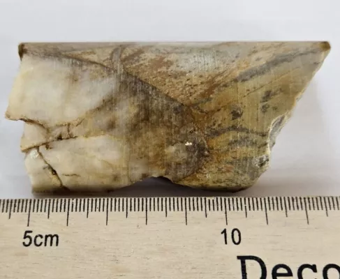 Bild: Golden Cariboo: Großen Bodenanomalien erweitern Potenzial über die Halo-Zone hinaus!