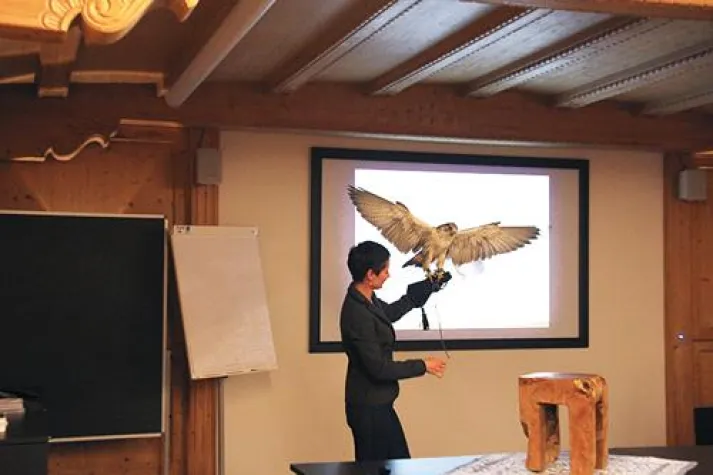 Bild: Start der Kick-off Workshops