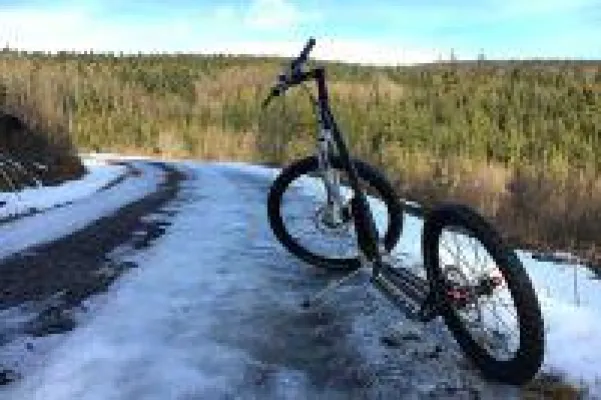 Bild: Fortbewegung mit dem Hund - 8 Tipps um Hunde nicht zu überlasten