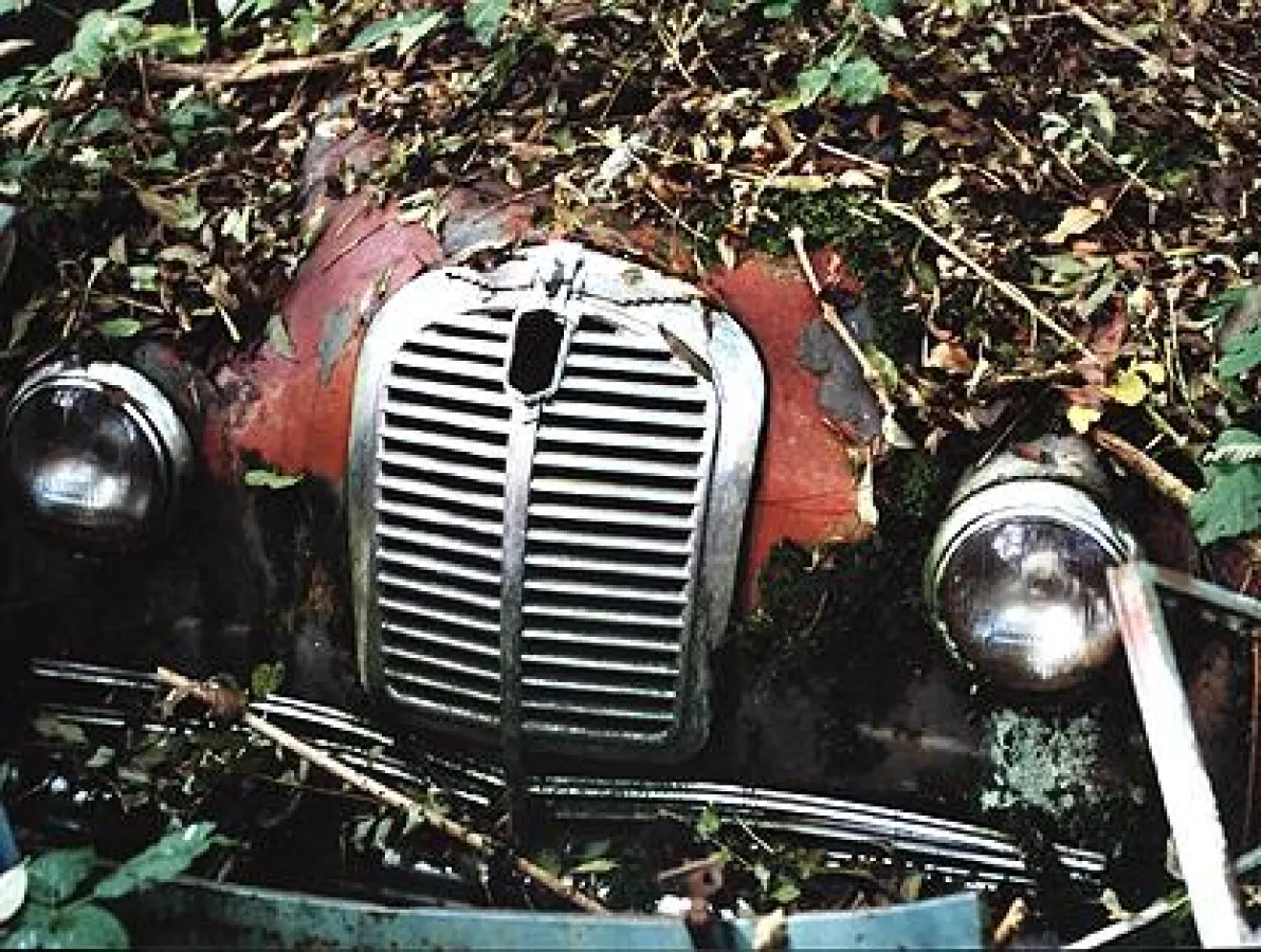 Quelle: sleeping-beauties.de