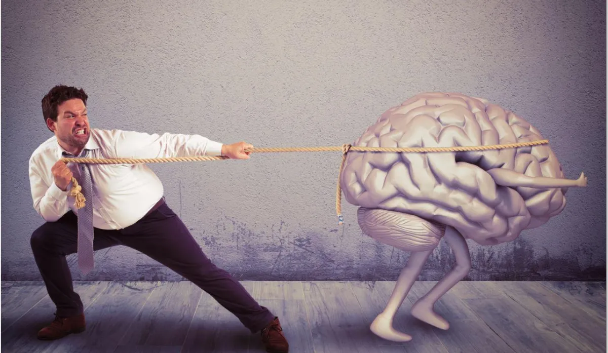 Entscheidungen tun dem Gehirn gut