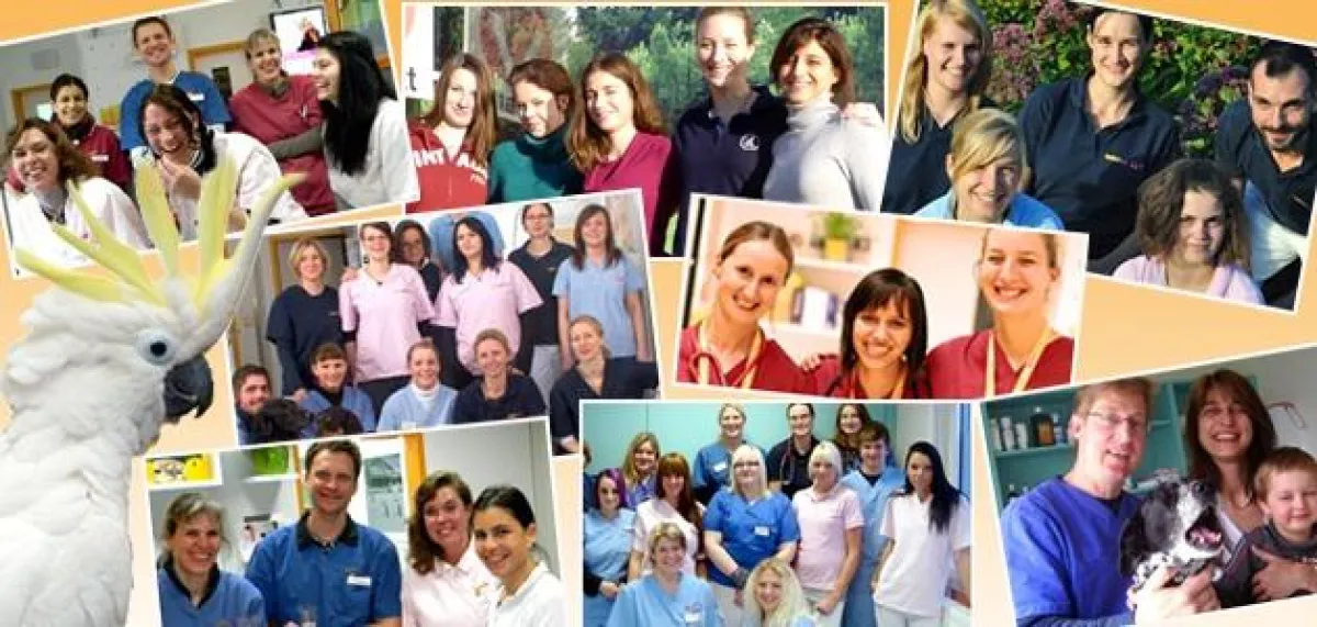 Die SmartVet Teams begrüßen Ihre neuen Kollegen im größten Tierarztpraxen Verbund Deutschland