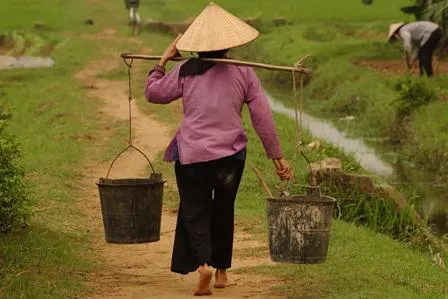 Bild: Der Charme Ostasiens zur beliebten Reisezeit: Vietnam aktiv und kulturnah