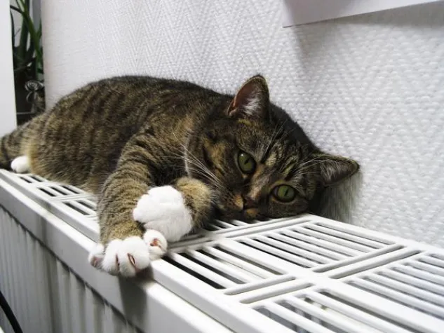 Bild: Gaspreisentwicklung: 21 Anbieter senken die Gaspreise für die Heizsaison 2016/2017