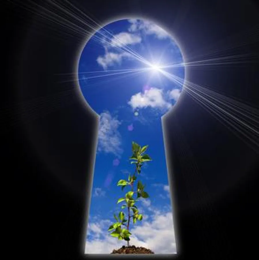 © Sergej Khackimullin - Fotolia