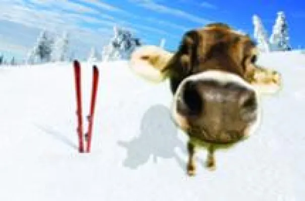 Bild: Mit Swissôtel Hotels & Resorts diesen Winter 20% sparen