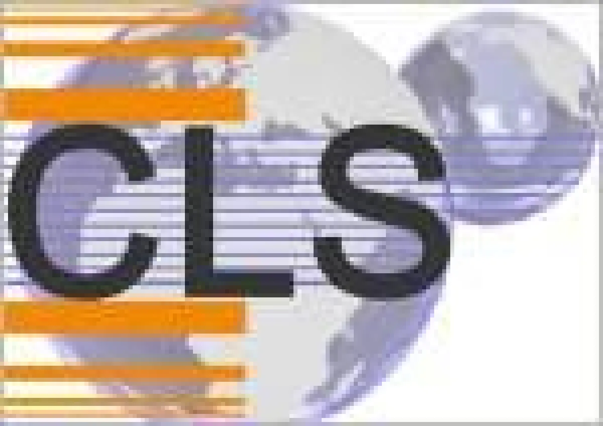 CLS Consulting