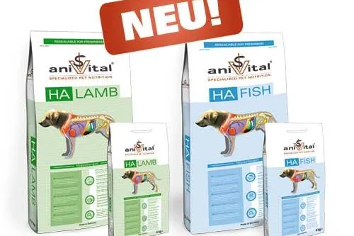 Bild: „Hilfe, mein Hund hat eine Allergie“
