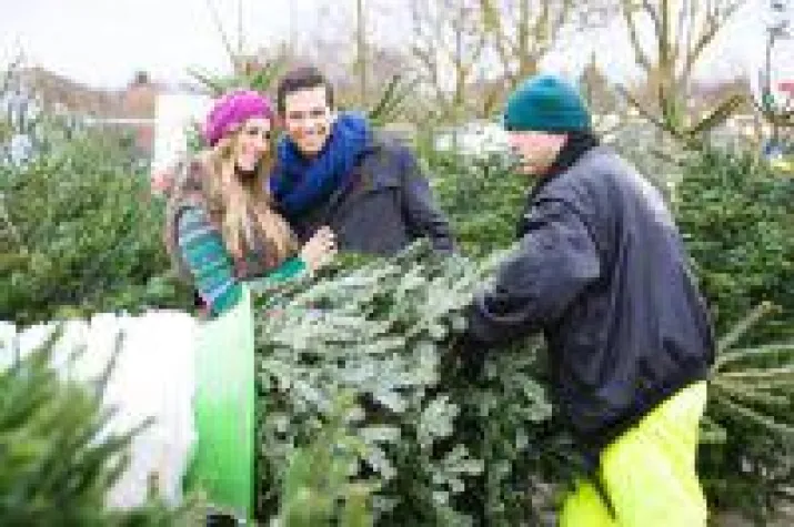 Bild: Ein Christbaum - so schön wie die Fürstin