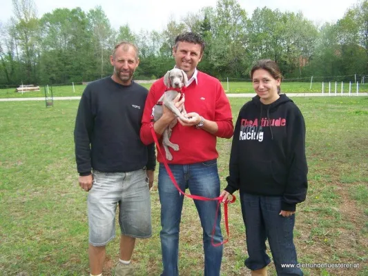 Bild: Spiel, Satz und Sieg - Welpe Dario erobert das Herz von Thomas Muster