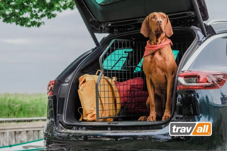 Bild: Travall® Guard Hundegitter: mehr Sicherheit bei maximaler Flexibilität und Alltagstauglichkeit