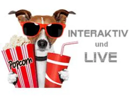Bild: Digital Marketing WebTV – Pilotsendung live und nur im Internet