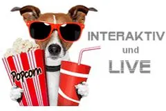 Bild: Digital Marketing WebTV – Pilotsendung live und nur im Internet
