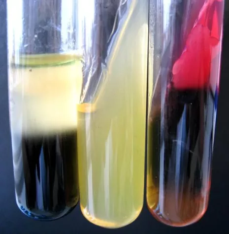 Bild: Änderung der Trinkwasserverordnung zum 01.11.2011