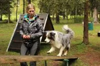 Ihre Hundeausbildung im Hotel Mair am Ort in Dorf Tirol Bild: Ihre Hundeausbildung im Hotel Mair am Ort in Dorf Tirol
