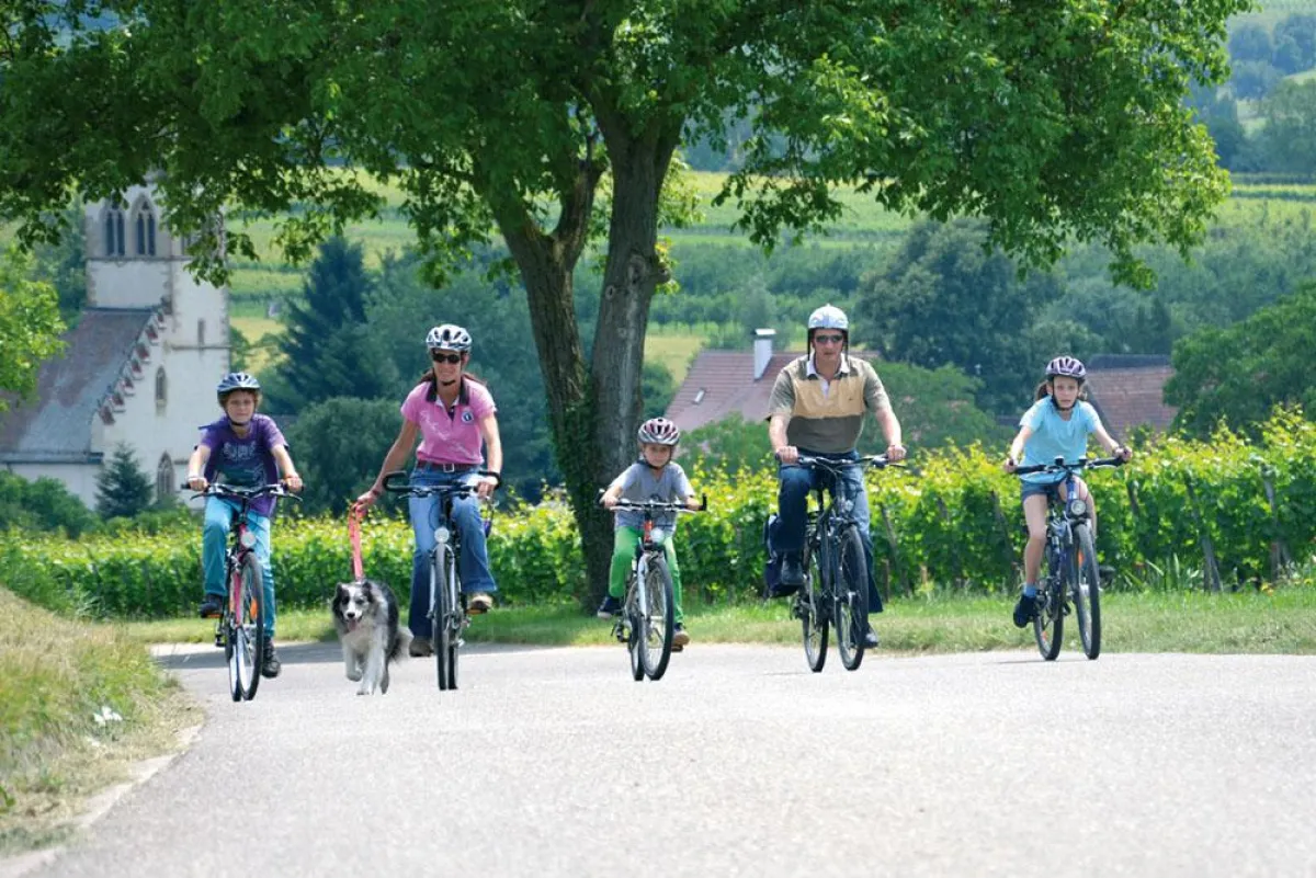 140 km Radwandervergnügen zu Römern, Rhein und Reben/Foto:Archäologie-Werkstatt