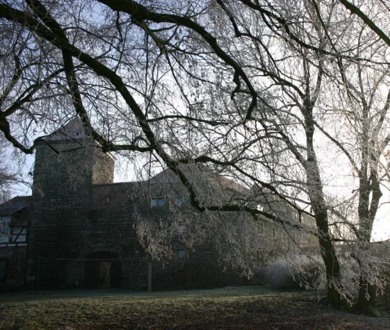 Bild: Musik und Tanz aus der Bretagne auf BURG FÜRSTENECK – Neue Workshops bei der 8. Fürstenecker Bordunale