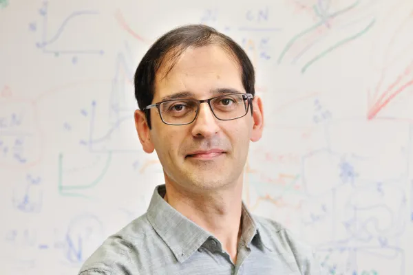 Warum Flüssigkeiten aus nicht-symmetrischen aktiven Teilchen so besonders sind Bild: Warum Flüssigkeiten aus nicht-symmetrischen aktiven Teilchen so besonders sind