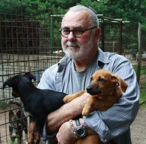 Bild: Blitzen, Schneiden, Föhnen