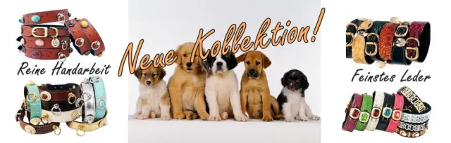 Bild: Pet Casally's neuer Onlineshop für exklusive Hundeprodukte