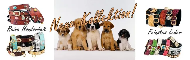 Bild: Pet Casally's neuer Onlineshop für exklusive Hundeprodukte