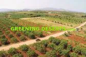 Bild: Begrünung von Wüsten und trockenen Landschaften mit Greening Deserts Projekten