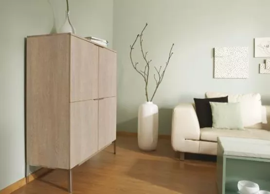 Kaindl Boards collection Bild: Kaindl Boards collection