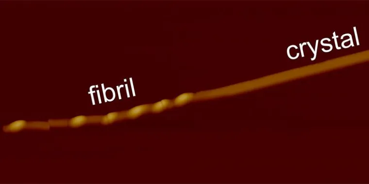 Bild: Aus Fasern werden Kristalle